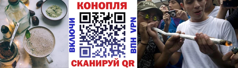 где найти   Рошаль  Canna-Cookies конопля 