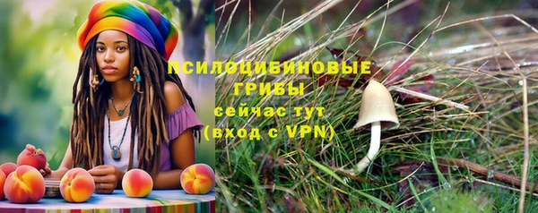 ALPHA-PVP Нязепетровск