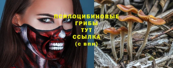амф Няндома