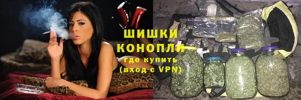 амф Няндома