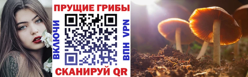 Псилоцибиновые грибы прущие грибы  Рошаль 