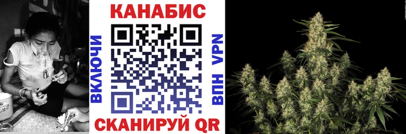 закладки  Рошаль  Бошки марихуана сатива 